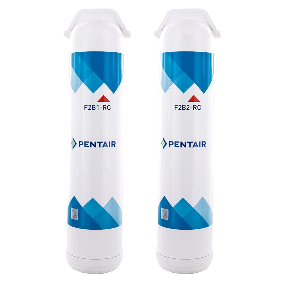Pentair FreshPoint Twin Pack VOC Cartridges for GRO575 (655126-96)